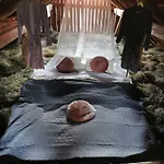 Hay Barn Unique Experience Visole Guest house