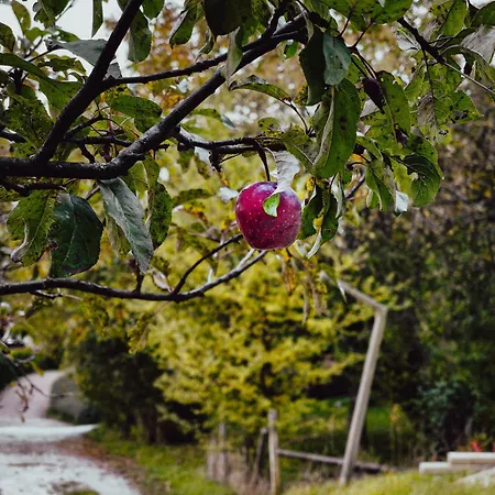 Gostinjska kuća Hay Barn Unique Experience Visole *