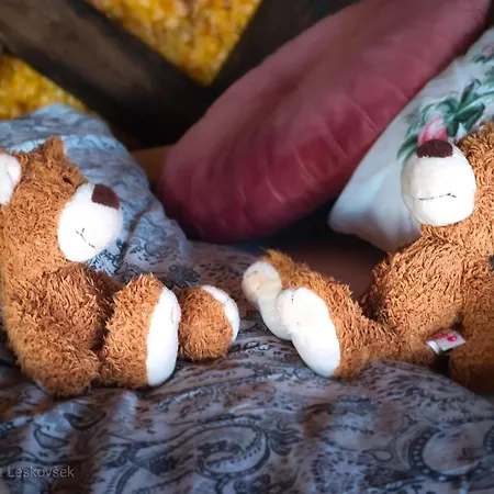 Гостевой дом Hay Barn Unique Experience Visole Словенска-Бистрица