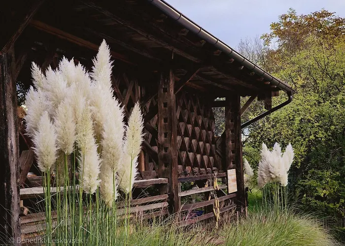 Hay Barn Unique Experience Visole Guest house