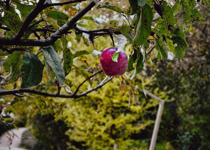 Guest house Hay Barn Unique Experience Visole *